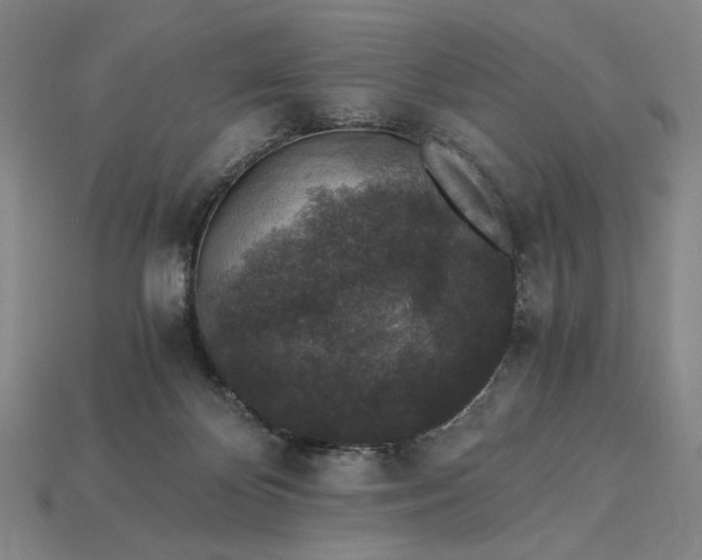 X0000115260124200911131754