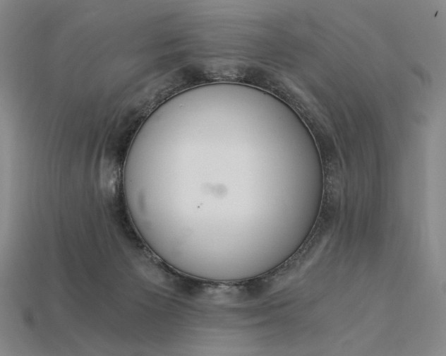 X0000115260125200911131754
