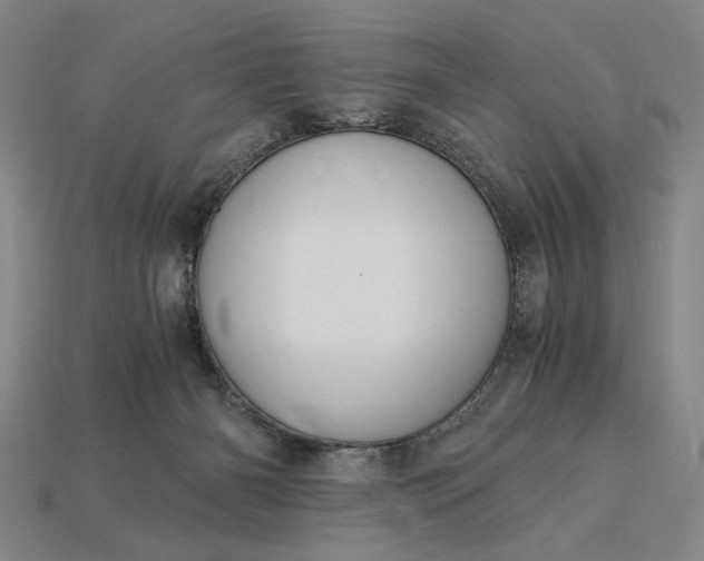X0000115260126200911131754
