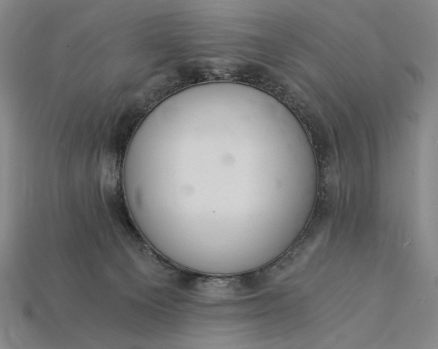 X0000115260129200911131754