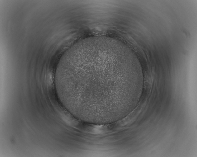 X0000115260130200911131754