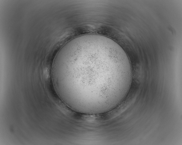 X0000115260131200911131754