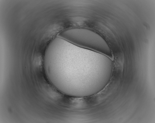 X0000115260132200911131754