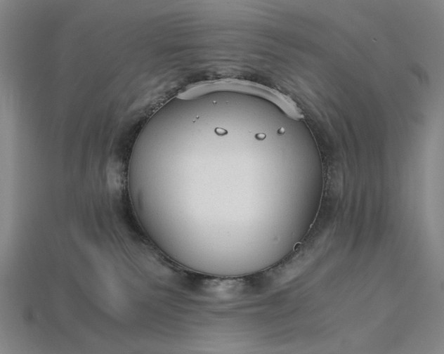 X0000115260135200911131754