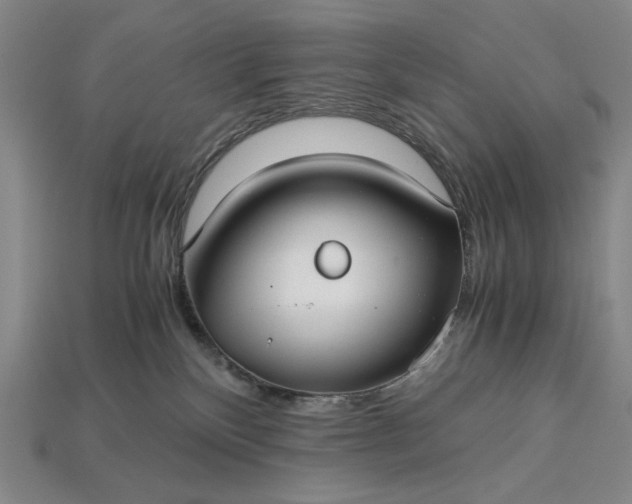 X0000115260136200911131754