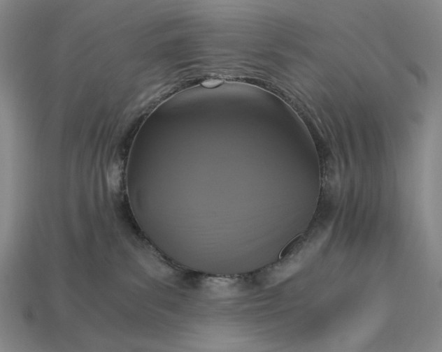 X0000115260139200911131754
