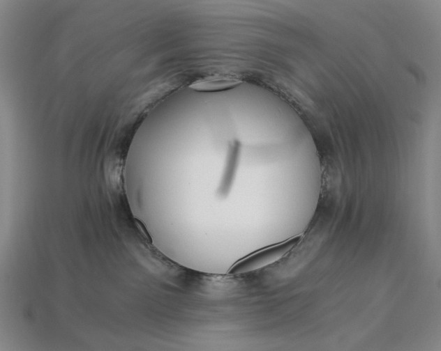 X0000115260141200911131754