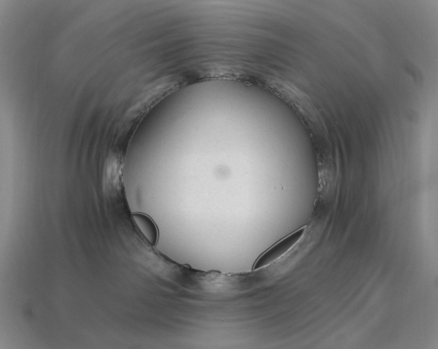 X0000115260142200911131754