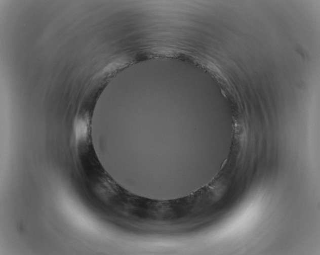 X0000115260143200911131754