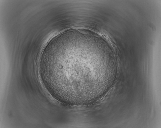 X0000115260145200911131753