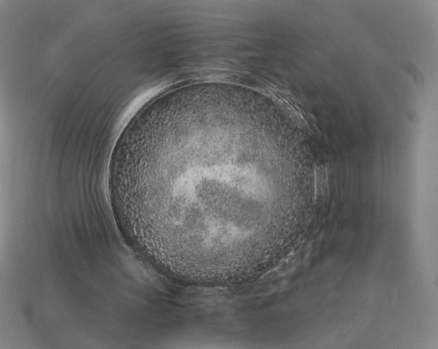 X0000115260147200911131753