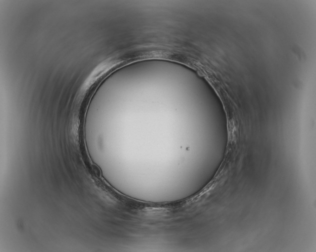X0000115260150200911131753