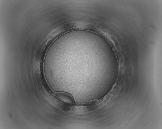 X0000115260154200911131753
