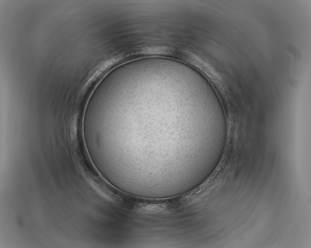 X0000115260155200911131754