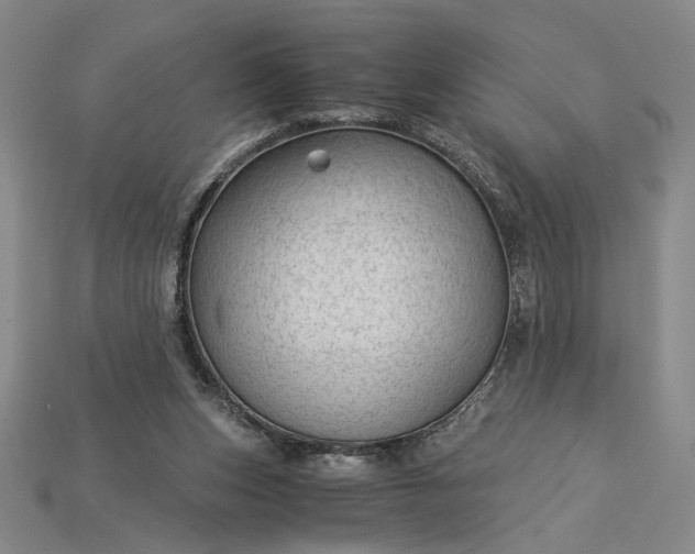 X0000115260159200911131754