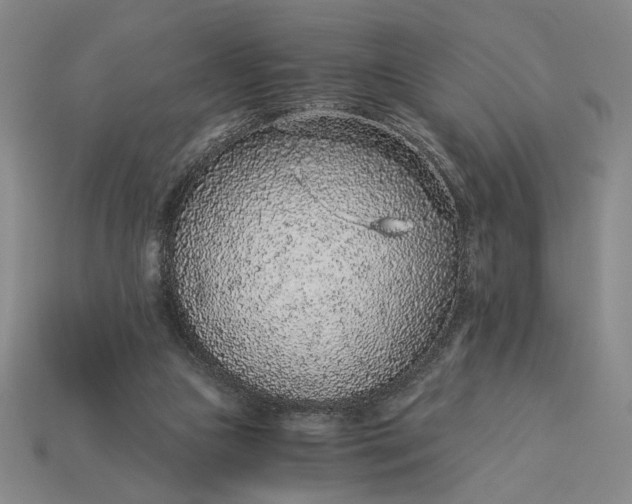 X0000115260161200911131754