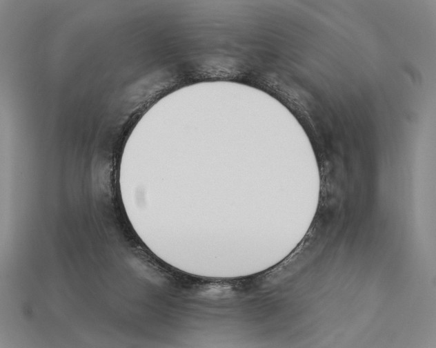 X0000115260162200911131754