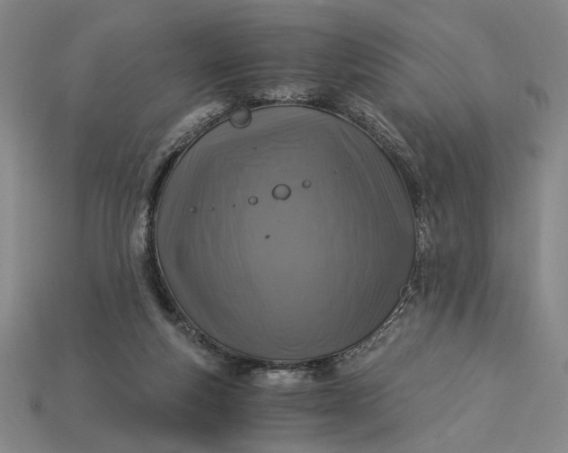X0000115260163200911131754