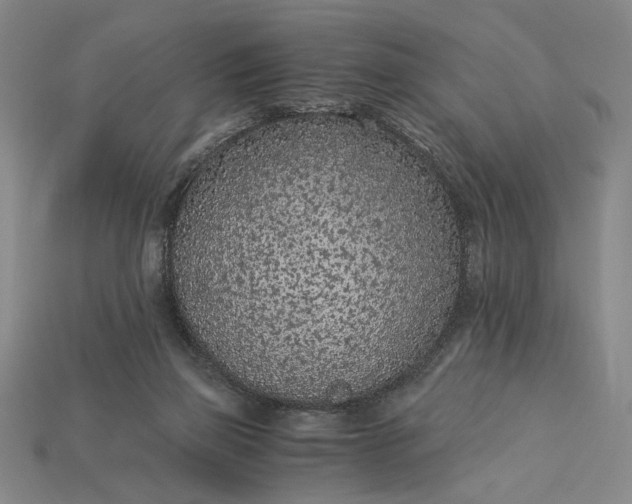X0000115260165200911131754