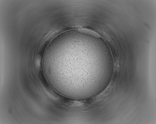 X0000115260166200911131754