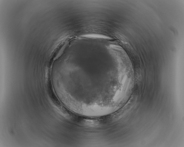 X0000115260167200911131754
