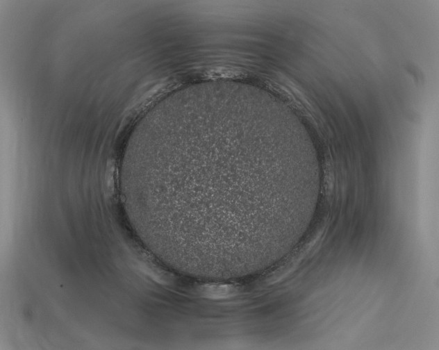 X0000115260169200911131754