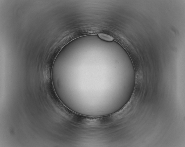 X0000115260170200911131754