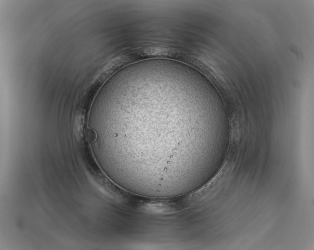 X0000115260171200911131754