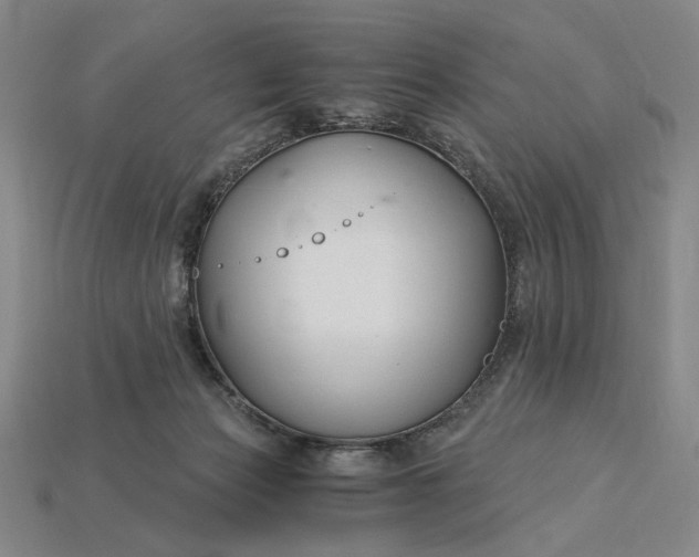 X0000115260173200911131754