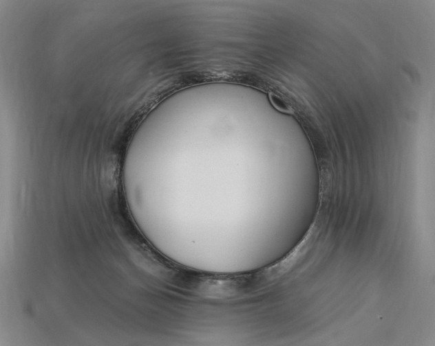 X0000115260174200911131754