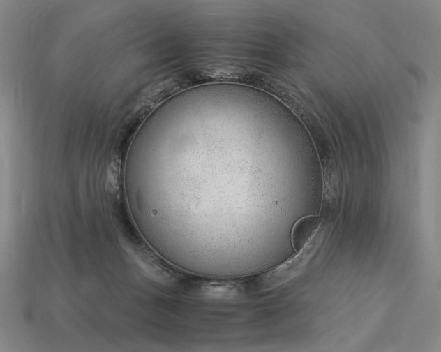X0000115260175200911131754