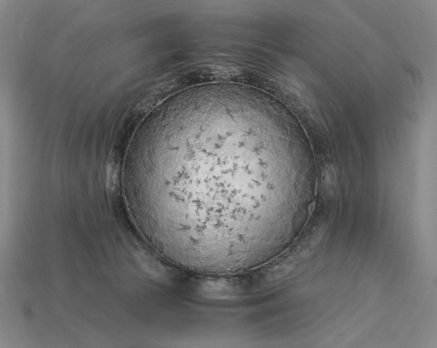 X0000115260177200911131754