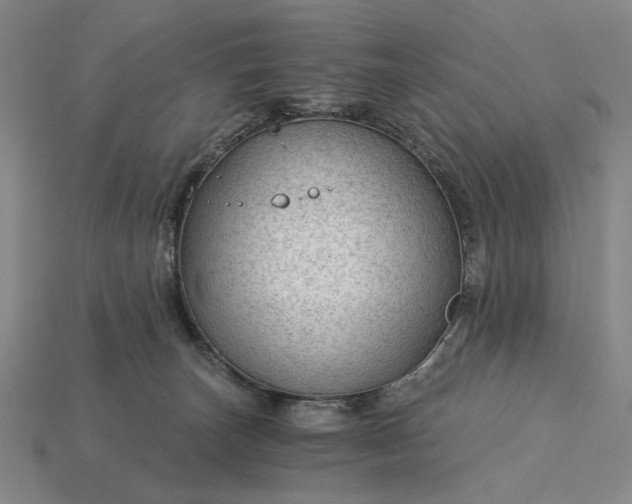X0000115260179200911131754