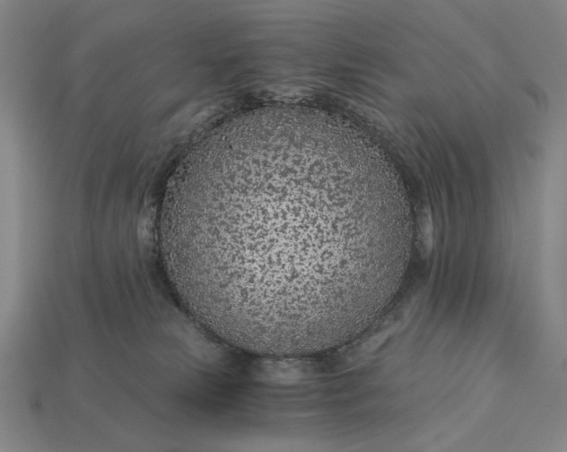X0000115260181200911131754