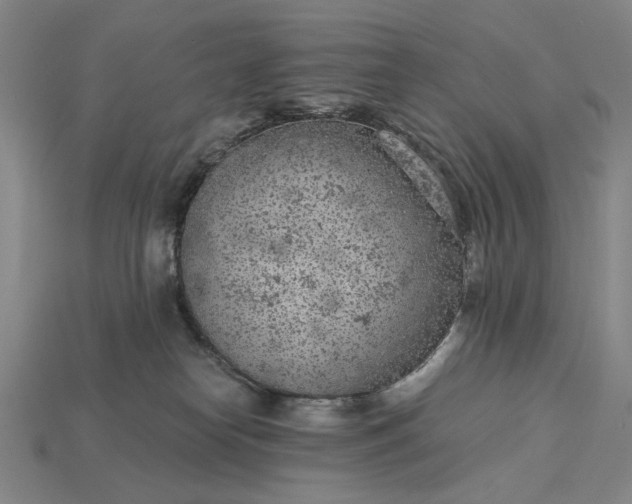 X0000115260182200911131754