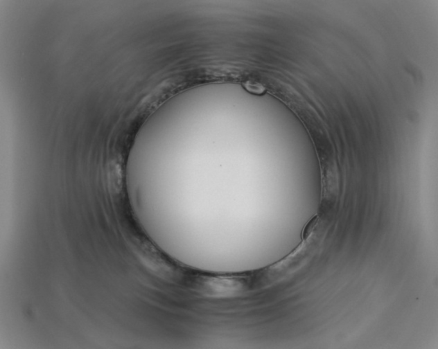 X0000115260183200911131754