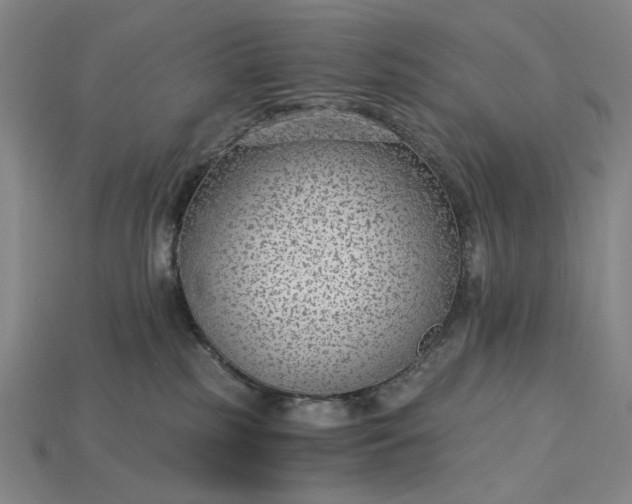 X0000115260185200911131754