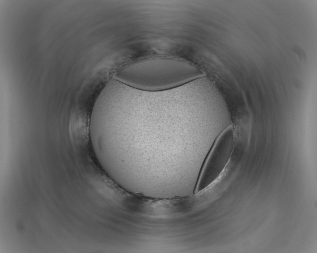 X0000115260186200911131754