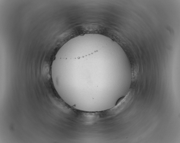 X0000115260187200911131754