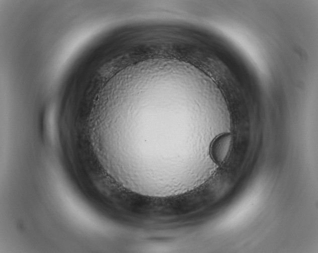 X0000115260189200911131754
