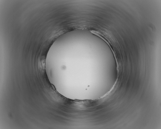 X0000115260190200911131754