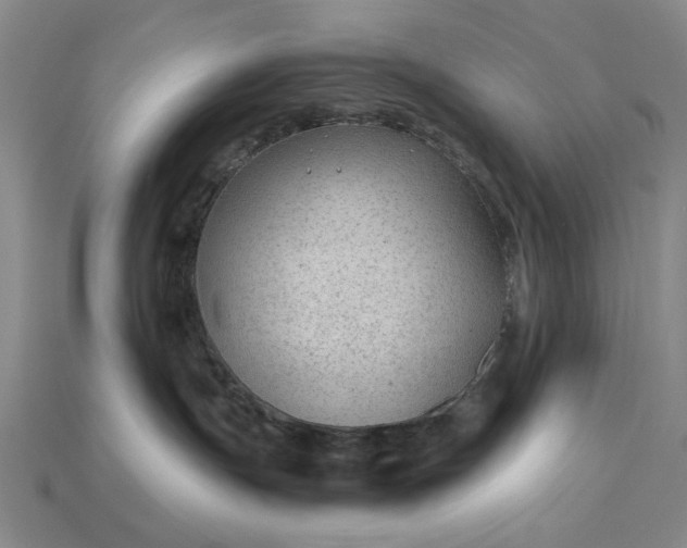 X0000115260191200911131754