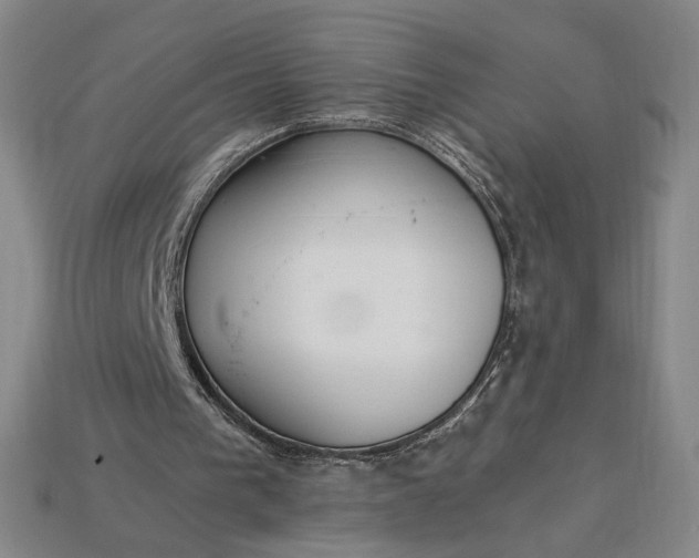 X0000115260193200911131753