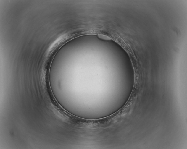 X0000115260197200911131753