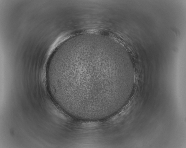 X0000115260198200911131753