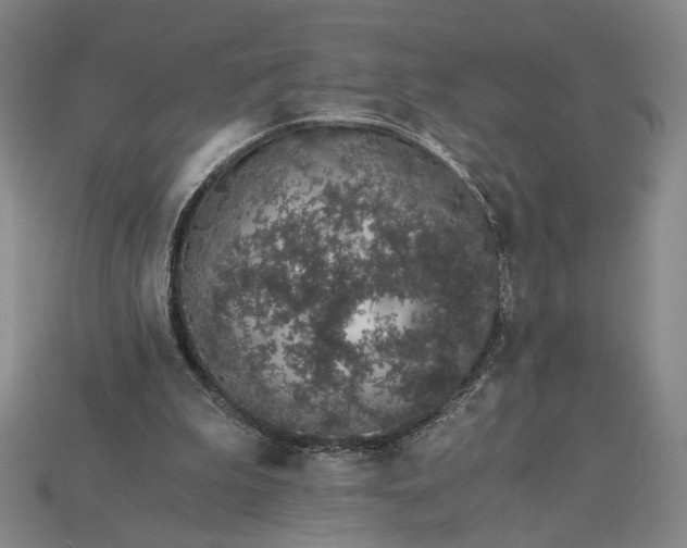 X0000115260199200911131753