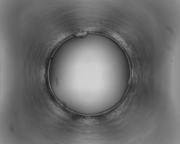 X0000115260201200911131753