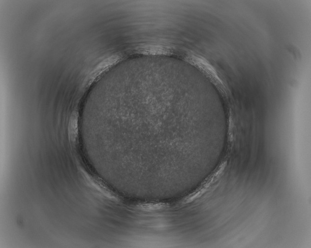X0000115260202200911131753