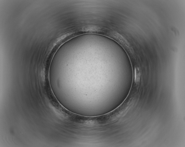 X0000115260204200911131753