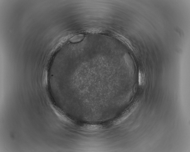 X0000115260205200911131753